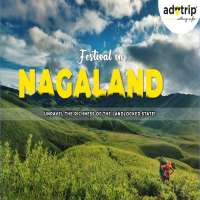 Famous Festival of Nagaland